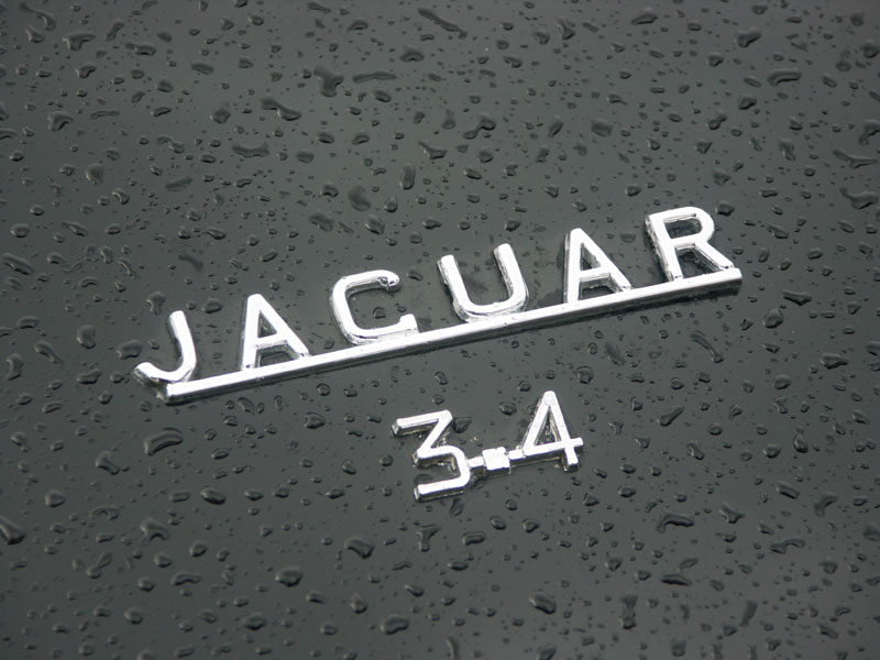 Jaguarklubbens sommarmöte, Vann, aug 2013