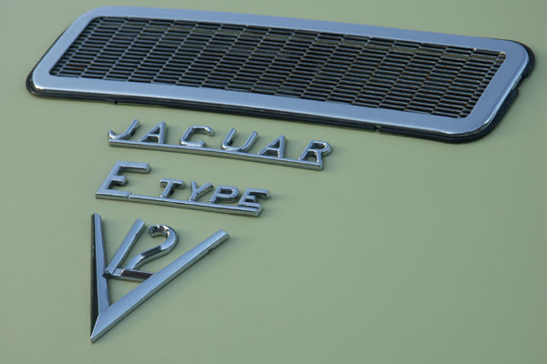 Jaguarträff vid Brostugan 3 juni 2010